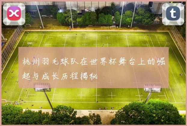 杭州羽毛球队在世界杯舞台上的崛起与成长历程揭秘