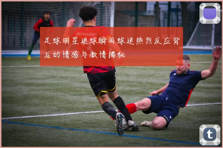 足球明星进球瞬间球迷热烈反应背后的情感与激情揭秘