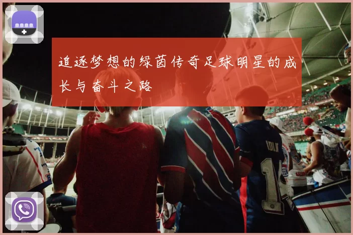 追逐梦想的绿茵传奇足球明星的成长与奋斗之路